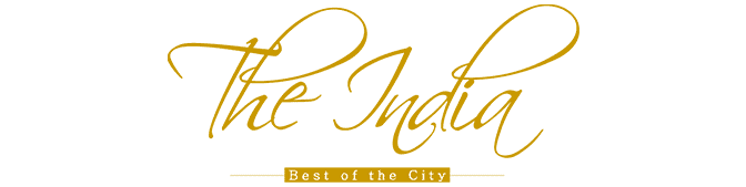 The india logo